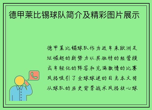 德甲莱比锡球队简介及精彩图片展示
